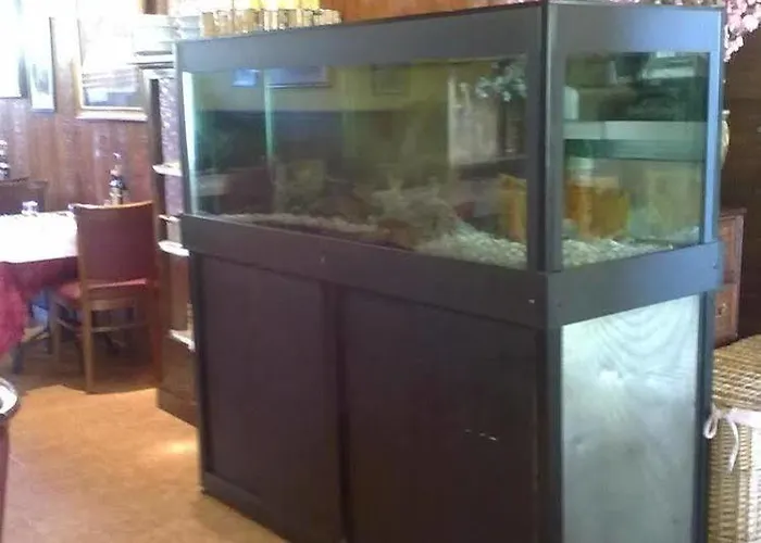 Πανσιόν La Terrazza